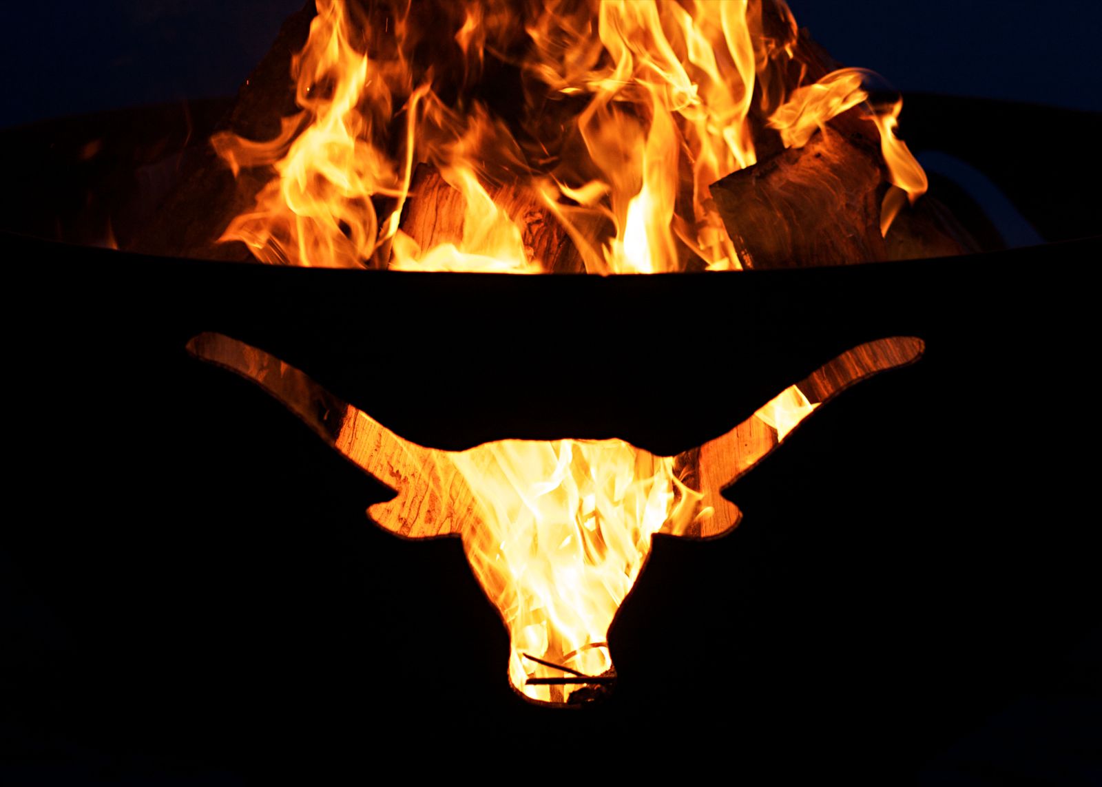 Fire Pit Art Long Horn Wood Burning Fire Pit