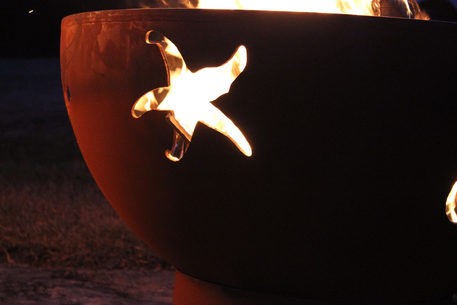 Fire Pit Art Sea Creatures Wood Burning Fire Pit